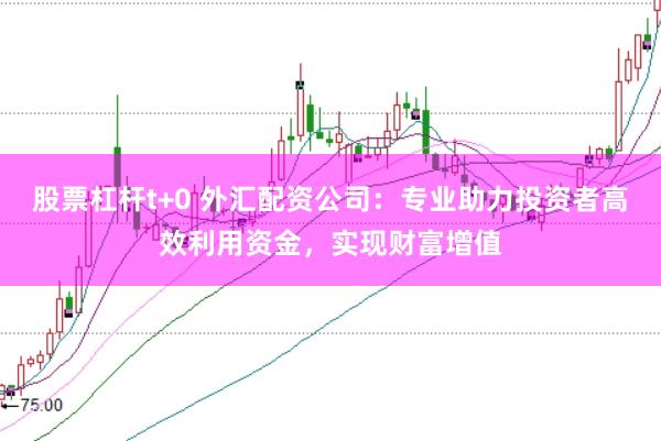 股票杠杆t+0 外汇配资公司：专业助力投资者高效利用资金，实现财富增值