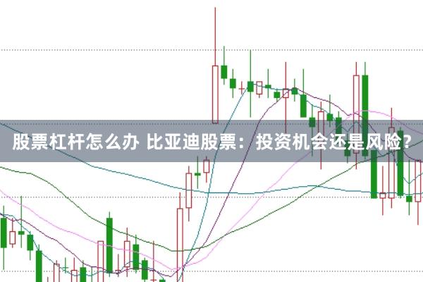 股票杠杆怎么办 比亚迪股票：投资机会还是风险？