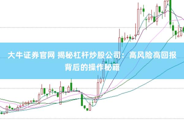 大牛证券官网 揭秘杠杆炒股公司：高风险高回报背后的操作秘籍