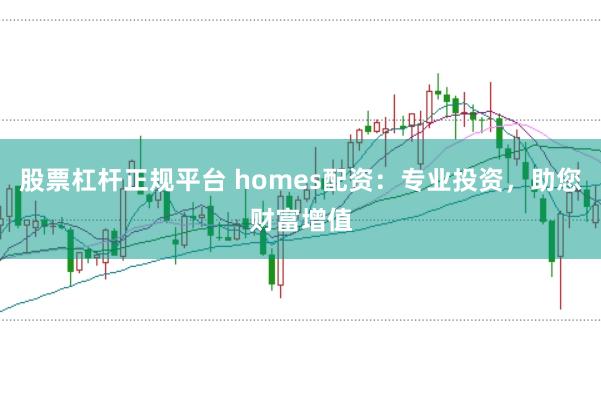 股票杠杆正规平台 homes配资：专业投资，助您财富增值