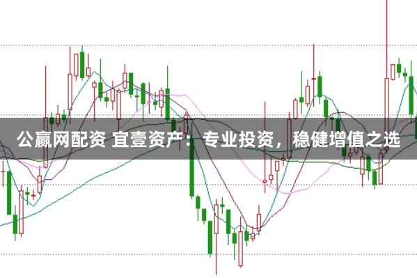 公赢网配资 宜壹资产：专业投资，稳健增值之选