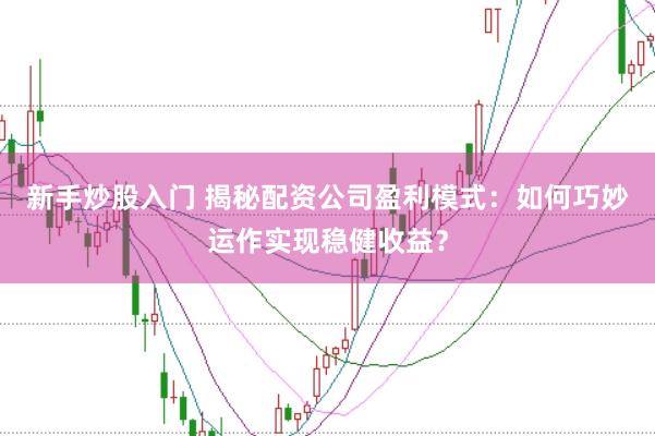 新手炒股入门 揭秘配资公司盈利模式：如何巧妙运作实现稳健收益？