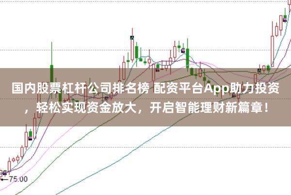 国内股票杠杆公司排名榜 配资平台App助力投资，轻松实现资金放大，开启智能理财新篇章！